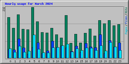 Hourly usage for March 2024