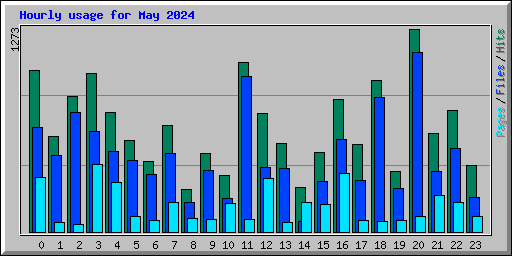 Hourly usage for May 2024