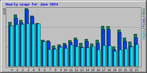 Hourly usage for June 2024