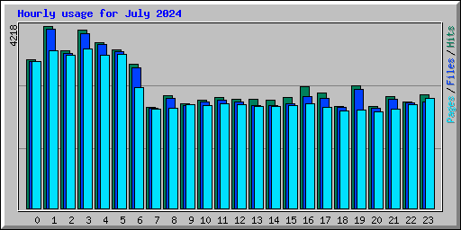 Hourly usage for July 2024